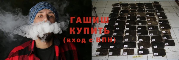индика Арсеньев