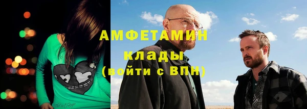 PSILOCYBIN Алзамай
