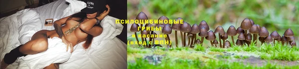 кокаин колумбия Алексеевка