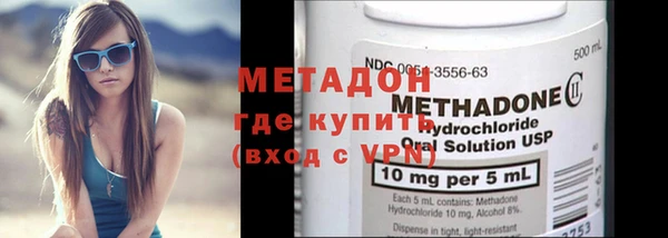 индика Арсеньев