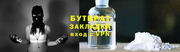 индика Арсеньев