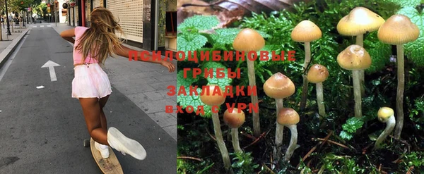 марки lsd Армянск