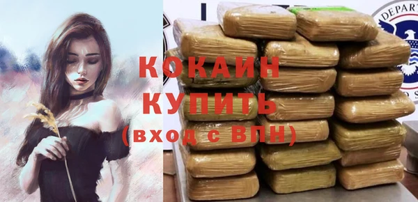 индика Арсеньев