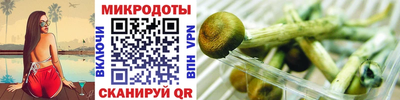мега ТОР Майкоп Галлюциногенные грибы Magic Shrooms как найти наркотики