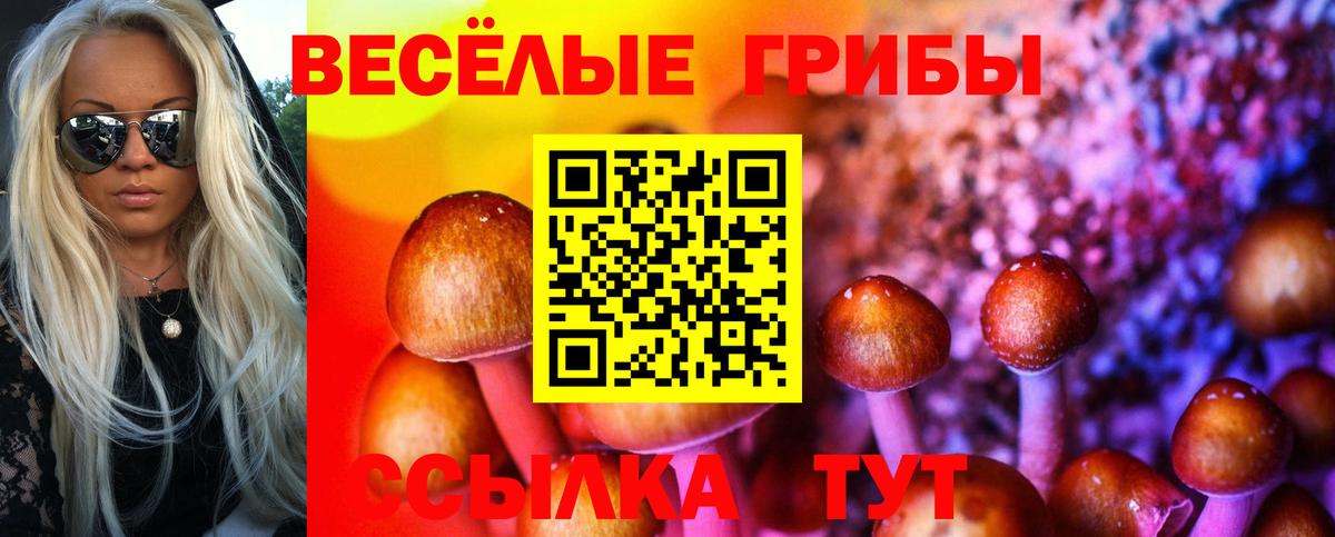 Майкоп  Псилоцибиновые грибы Magic Shrooms  Вход с VPN 